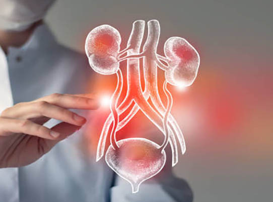 Department of Urology